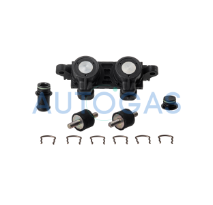 Форсунки LANDI TYPE ECO-EVO 2 цил., под сменные жиклёры