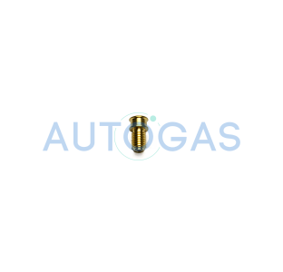Жиклер для форсунок Valtek/GREENGAS тип 32, D1,50 мм, под рукав D6, Valtek
